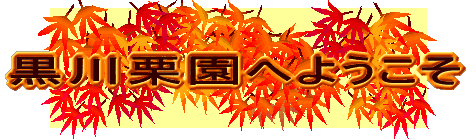 �z�[���y�[�W �^�C�g��